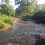 Driftless Education Center creek in action